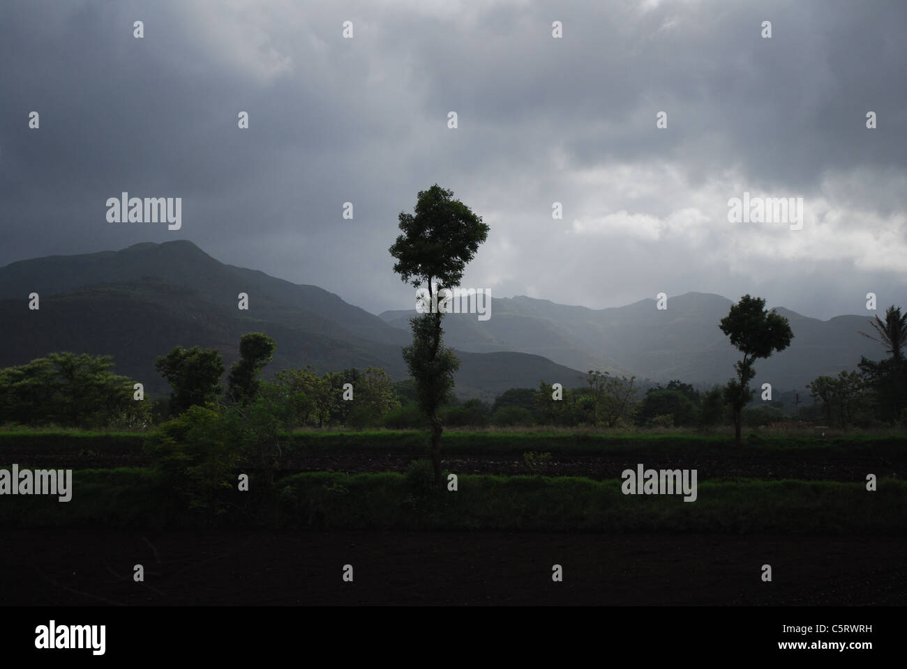 Fog field scenery hi-res stock photography and images - Alamy