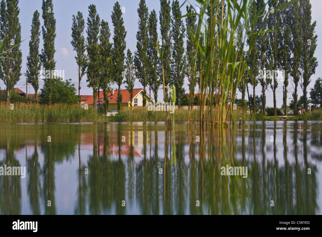 Austria, Guntramsdorf, View of house and tree with reflection in lake Stock Photo