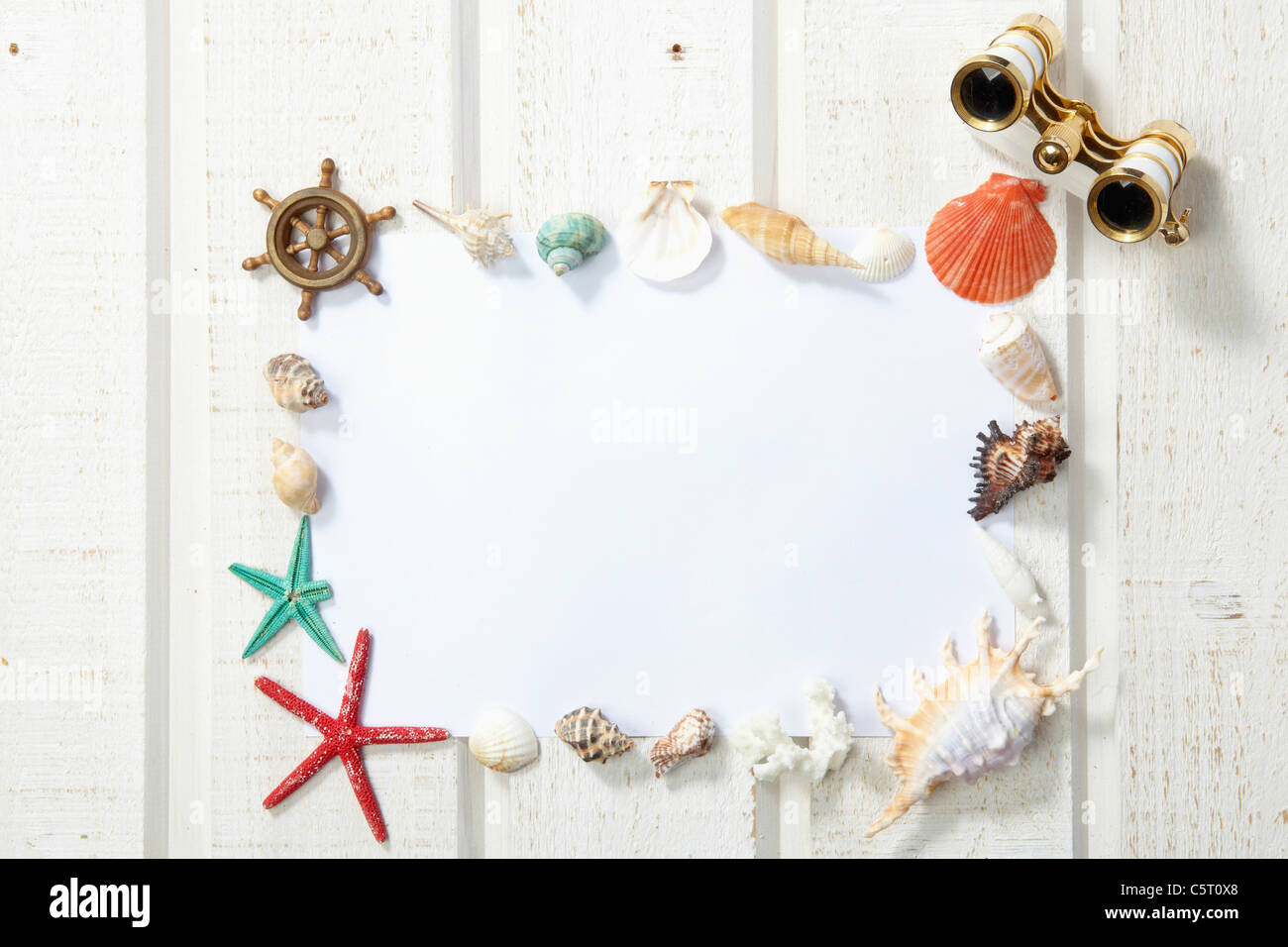 sea shells and starfish in frame Stock Photo - Alamy