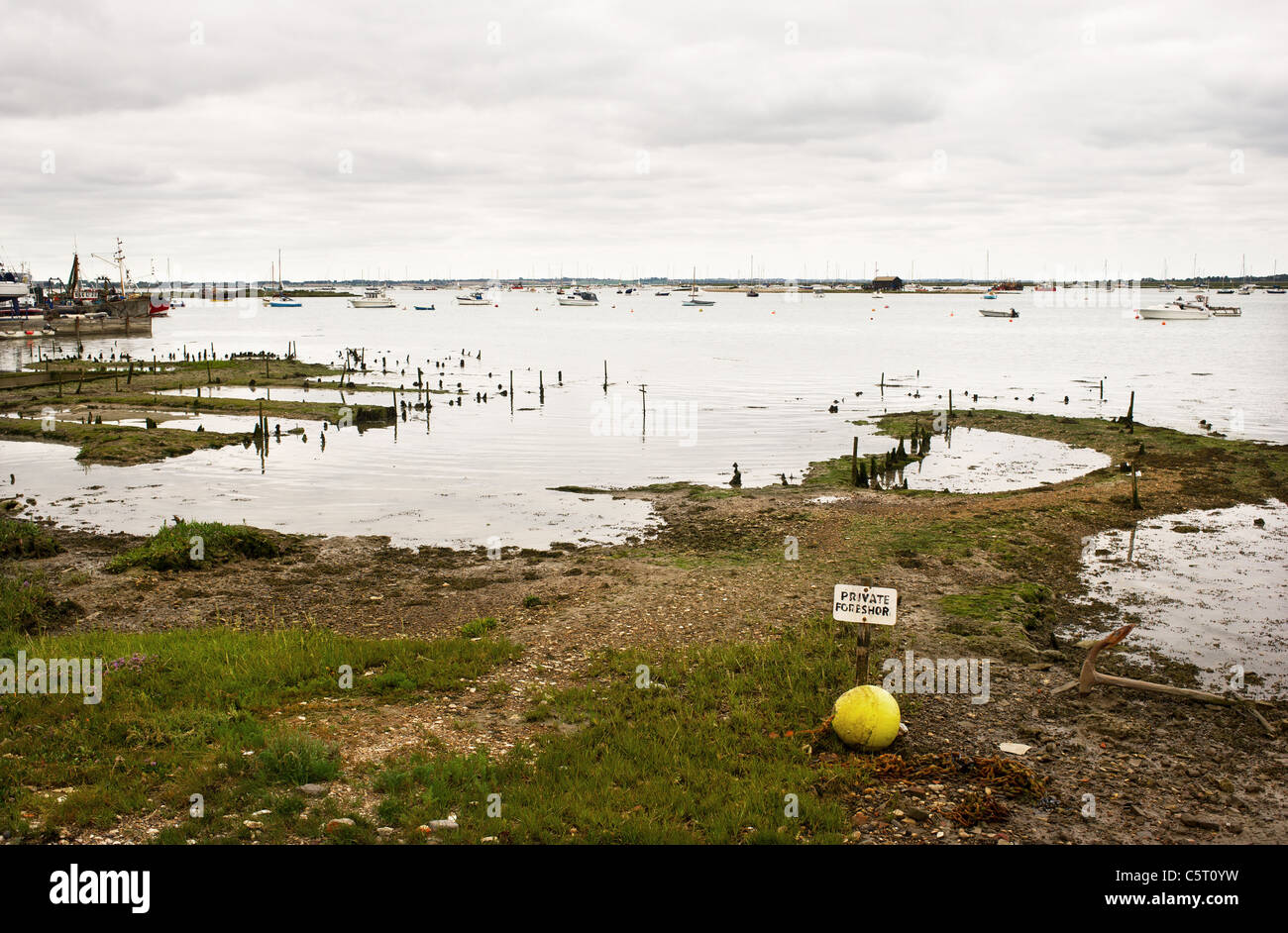 Old oyster beds on the foreshore of Mersea Island in Essex. Stock Photo