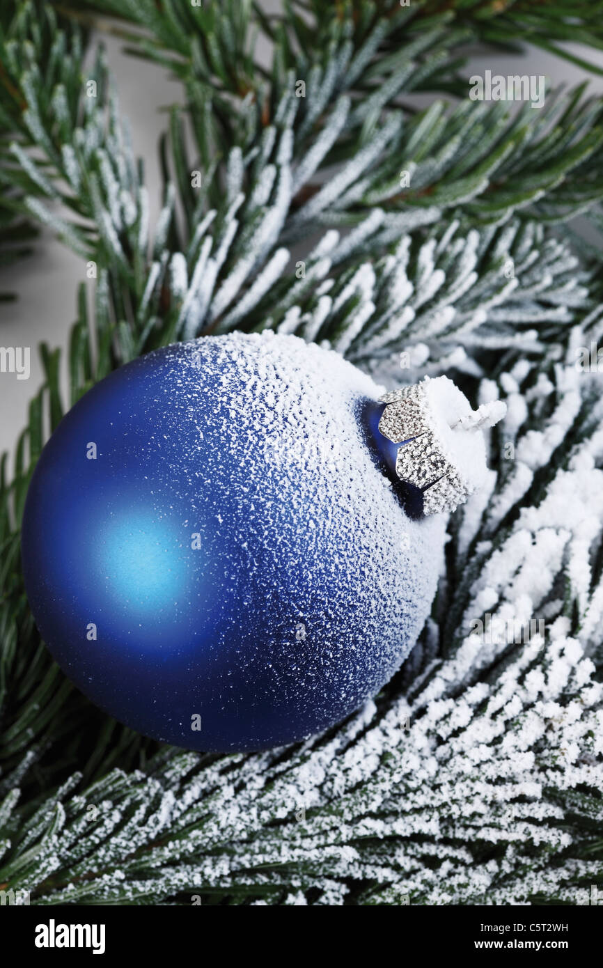 Christmas decoration, Blue christmas bauble on fir twig Stock Photo
