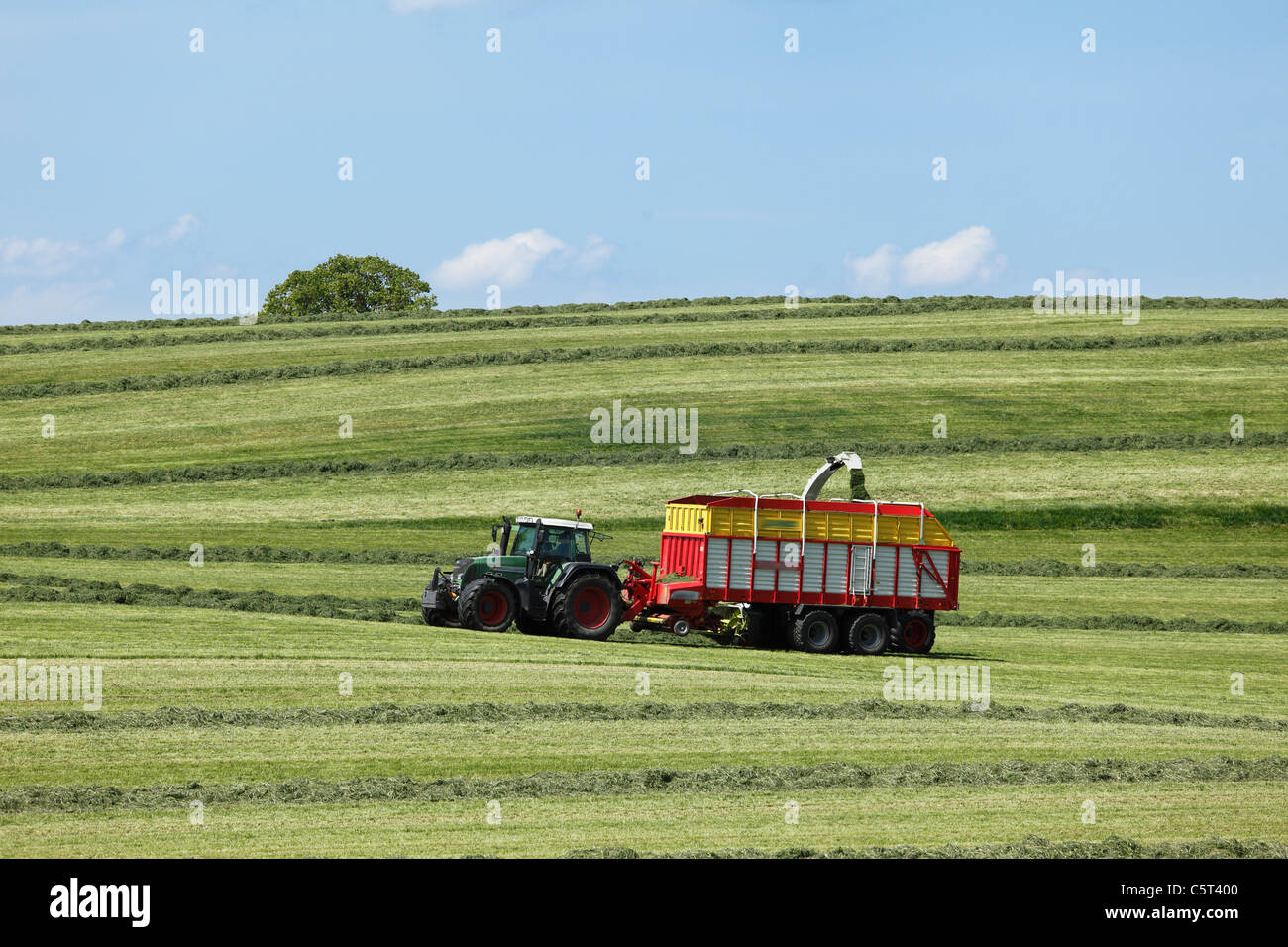 Germany, Bavaria, Upper Bavaria, Muensing, View of meadow swath with tractor in spring Stock Photo