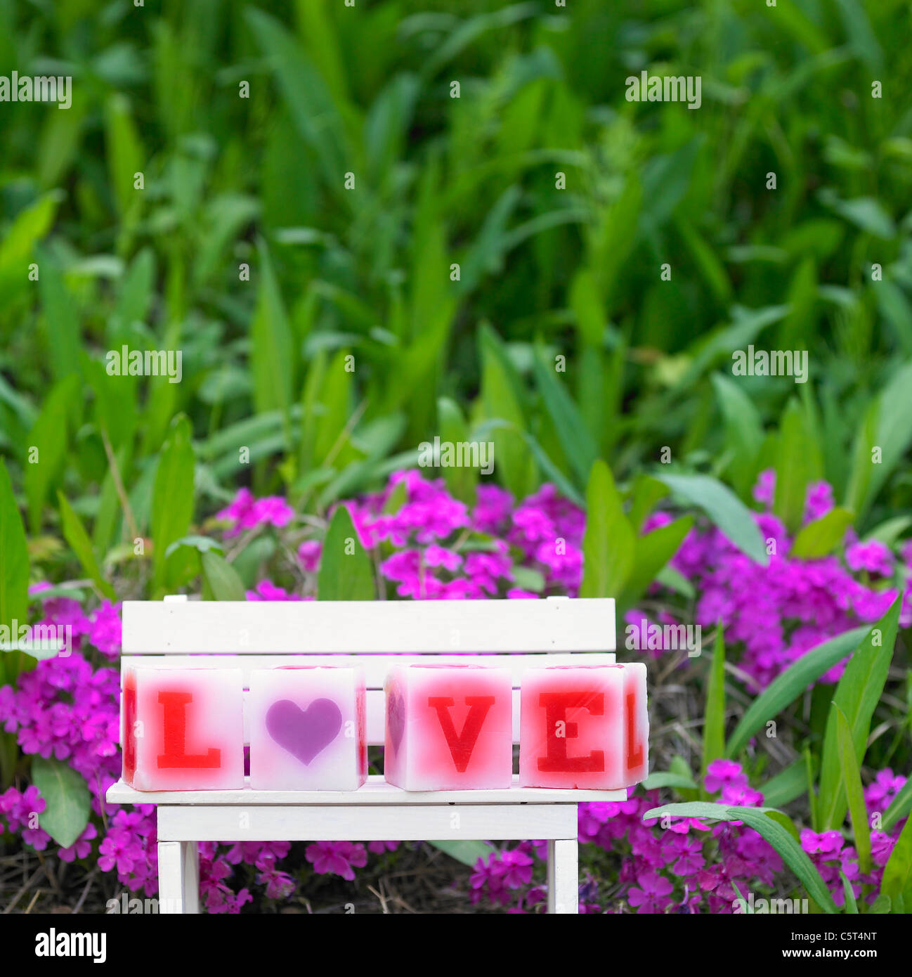 Candles in the garden Stock Photo Alamy