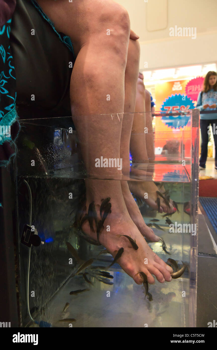 Fish pedicure in Ocean Terminal, Edinburgh, Scotland shopping mall - Turkish Garra Rufa fish nibble dead skin from feet. Stock Photo