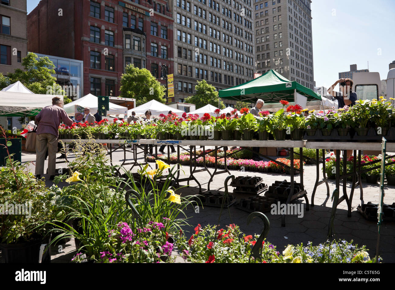 Flower Flats, Union Square Greenmarket, NYC Stock Photo Alamy