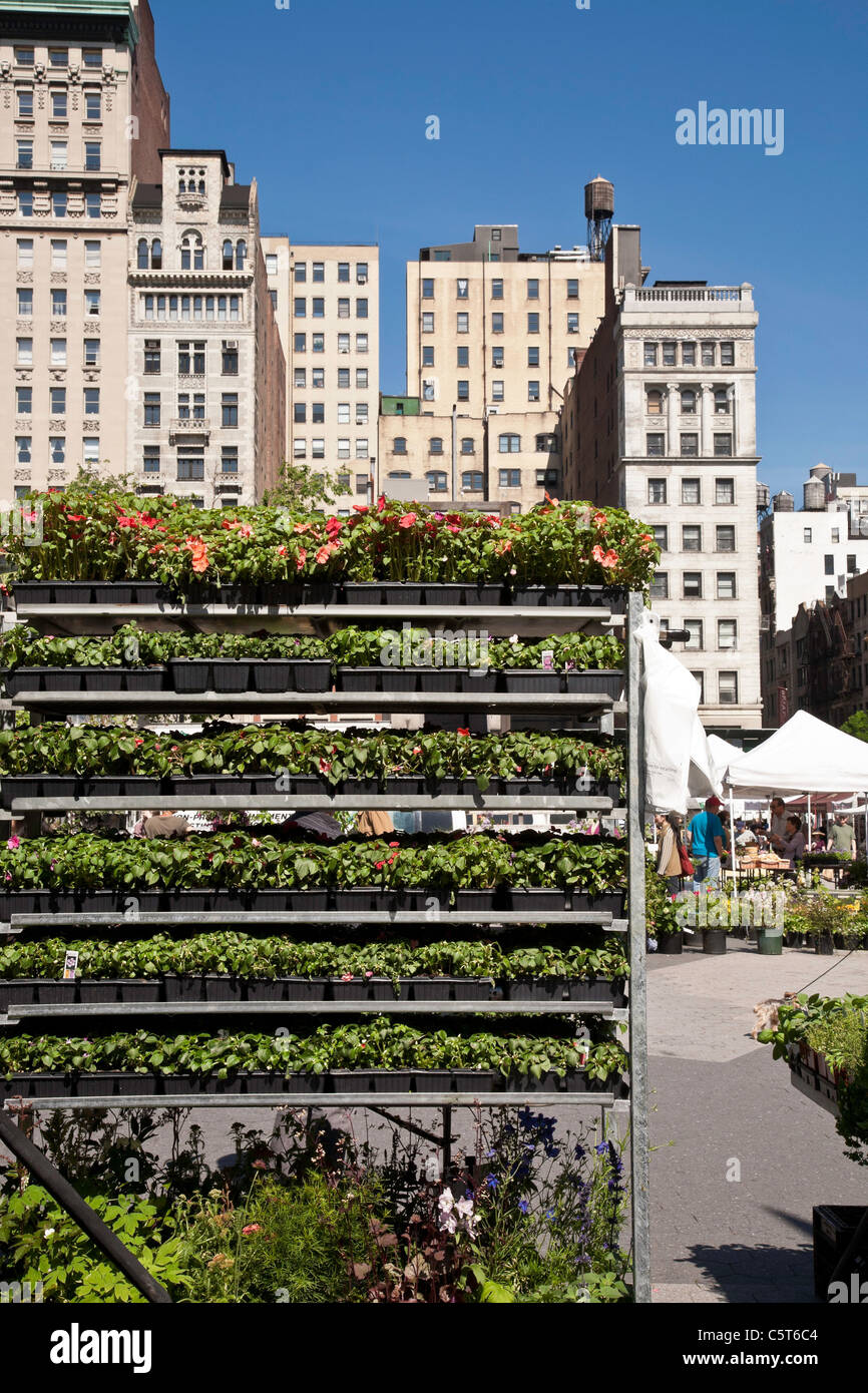 Vendors tray hires stock photography and images Alamy