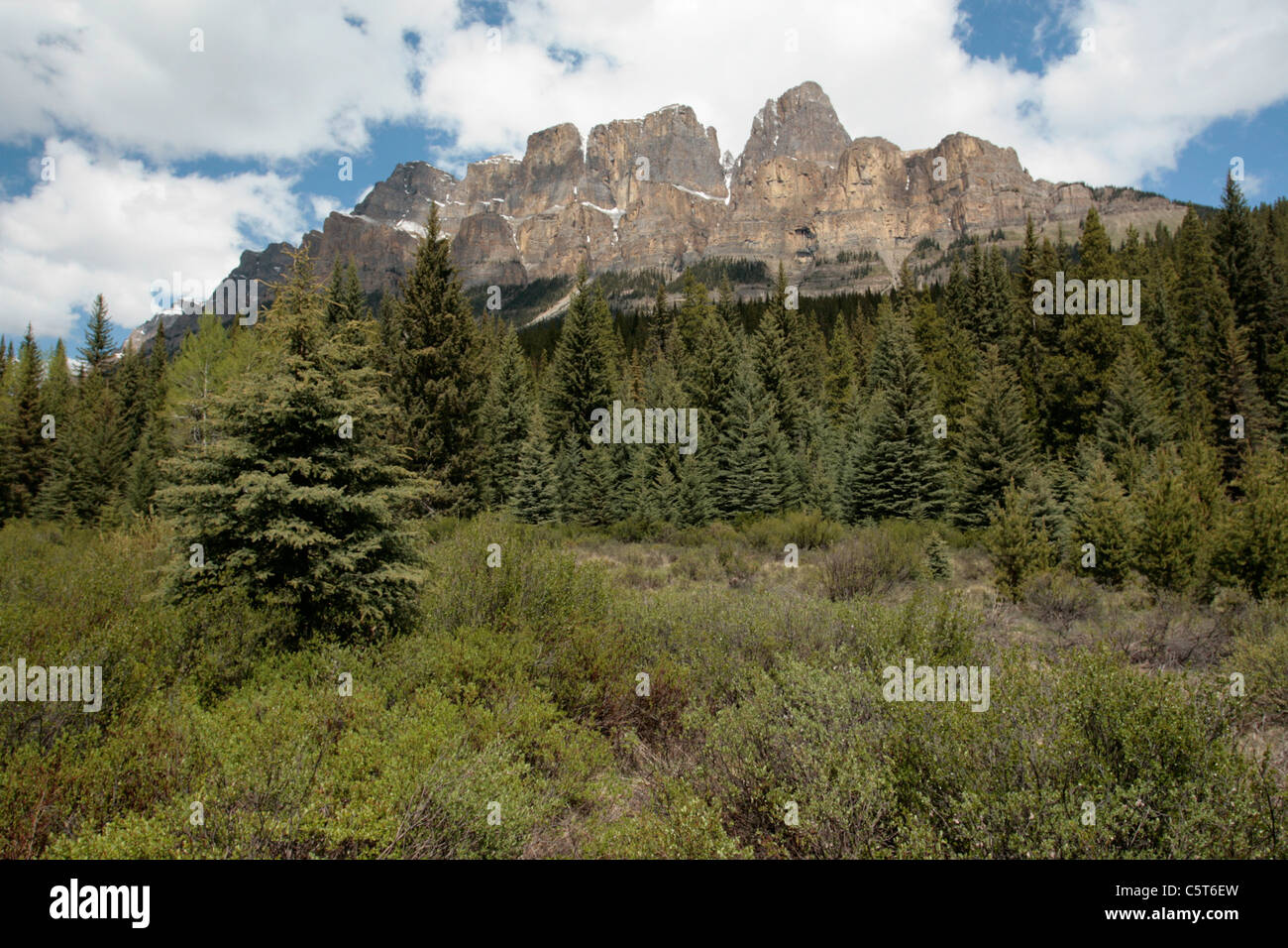 Castle Mountain in Banff National Park Stock Photo