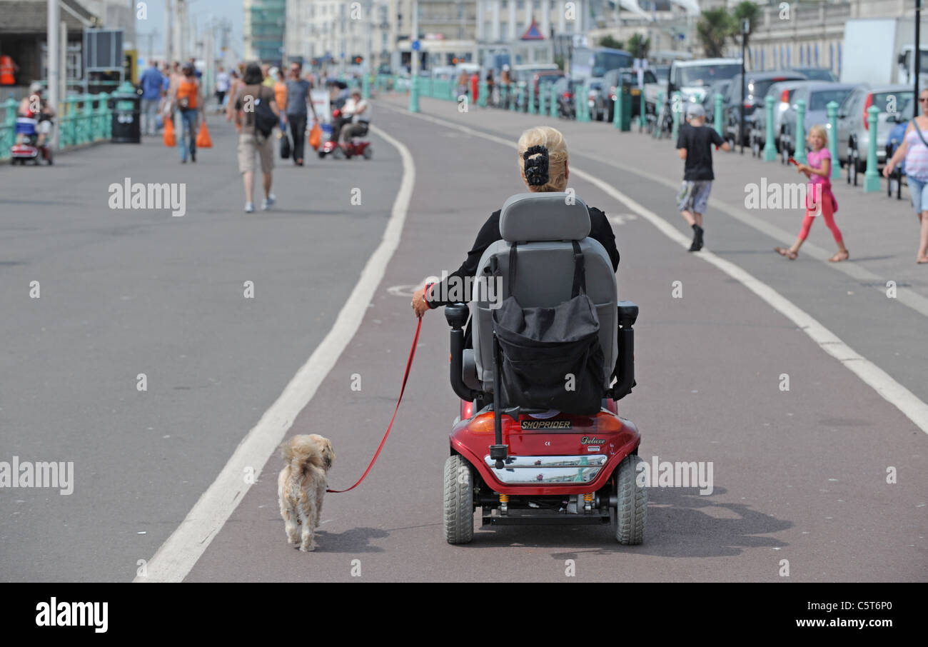 Dog on mobility scooter hi-res stock photography and images - Alamy