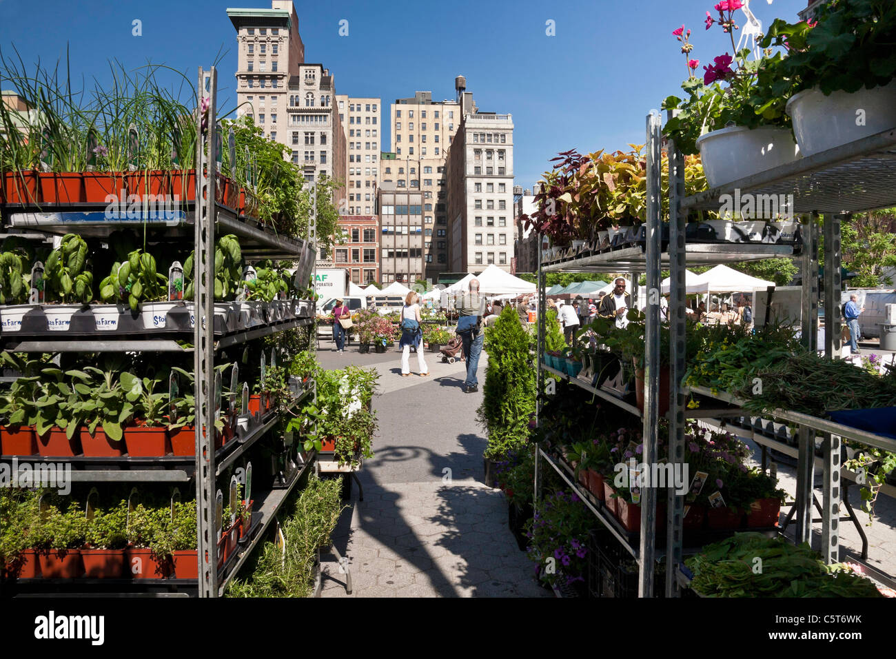 Flower Flats, Union Square Greenmarket, Midtown, NYC Stock Photo Alamy