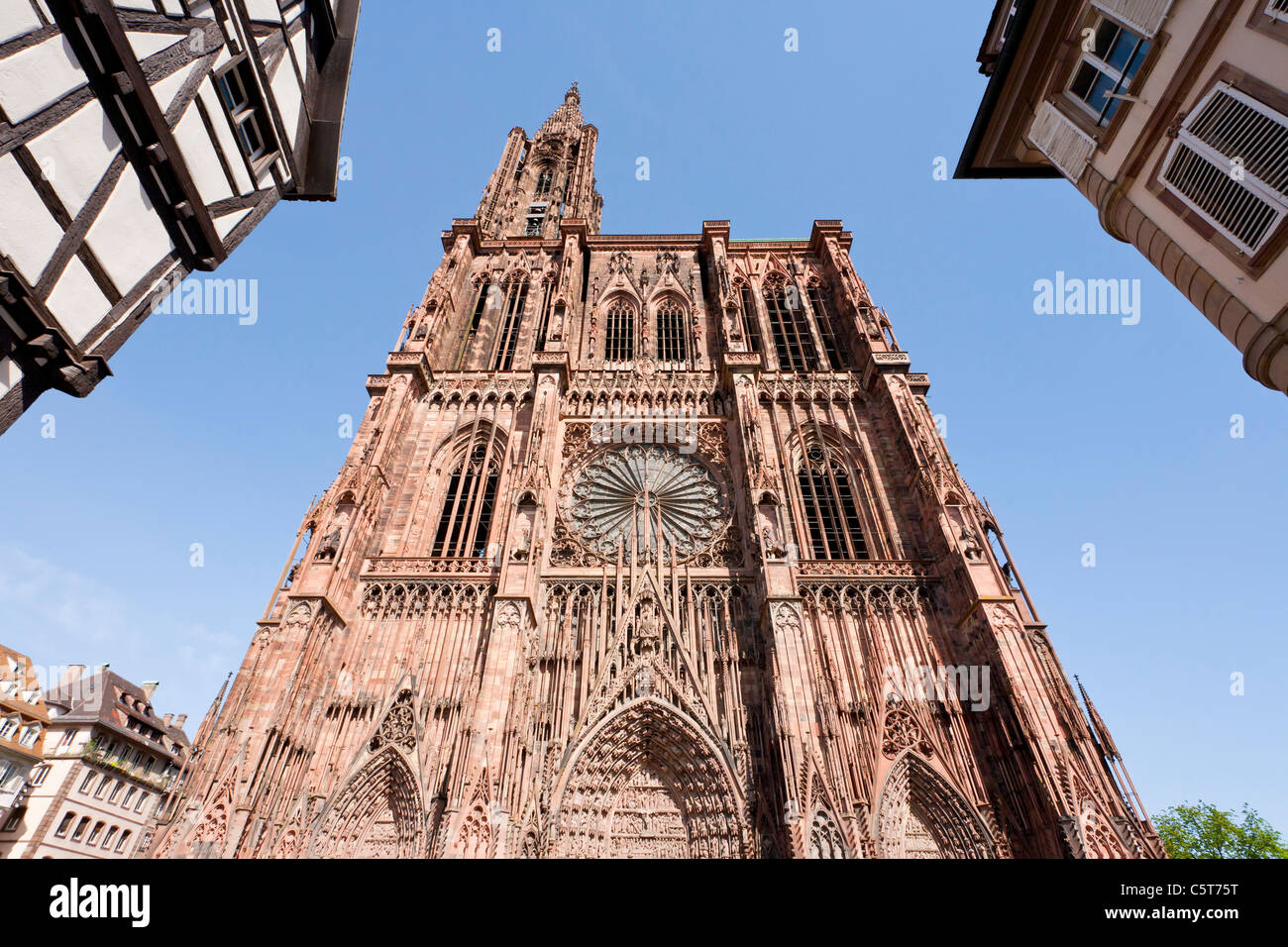 France, Alsace, Strasbourg, View of Notre Dame cathedral with frame houses Stock Photo