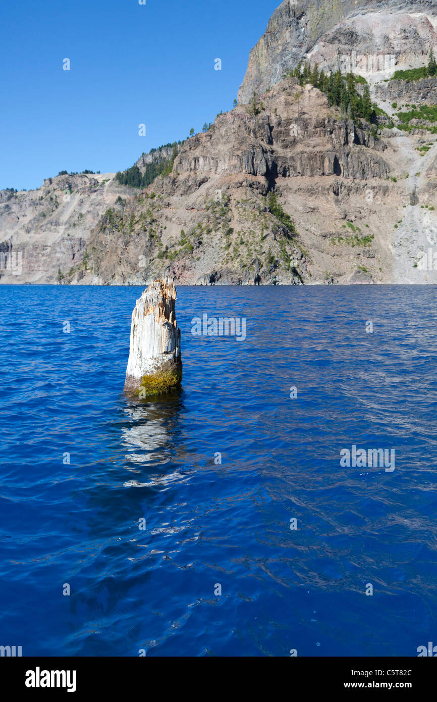 Old Man of the Lake floating log in Crater Lake Oregon USA Stock Photo ...