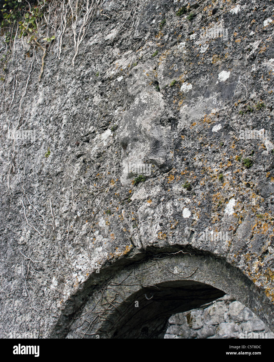 Sheela na gig above a doorway at Kilnaboy Church (Killinaboy), County Clare, Ireland Stock Photo