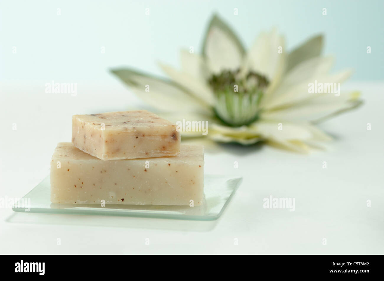Bars of soap on soap dish, water lily in background, close up Stock Photo