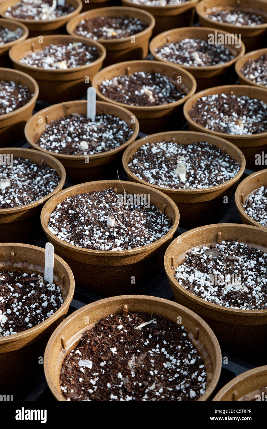 plant pots with soil Stock Photo Alamy