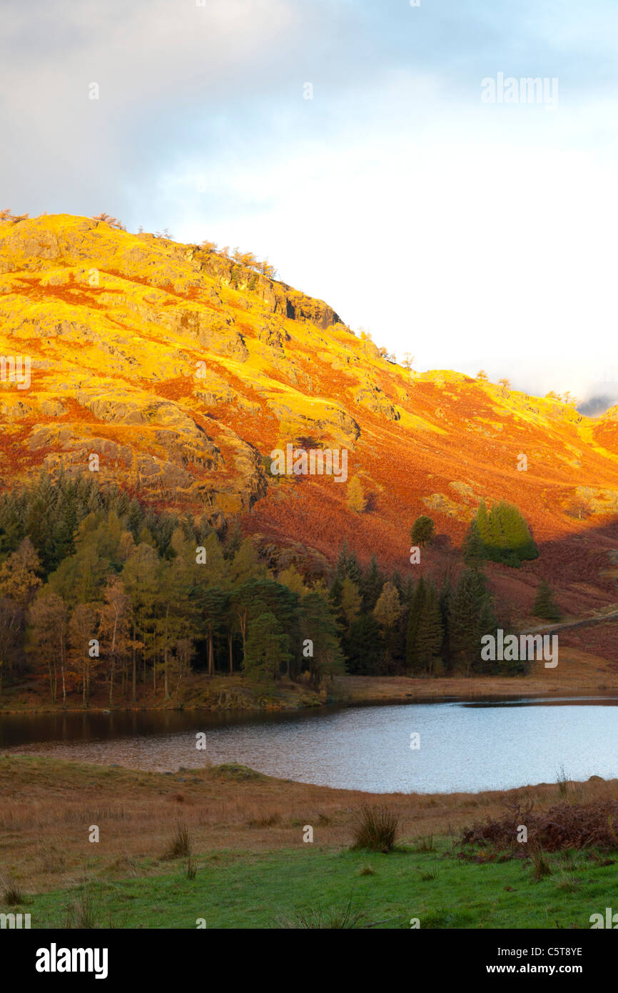 Blea Tarn at Sunrise int he English Lake District Stock Photo