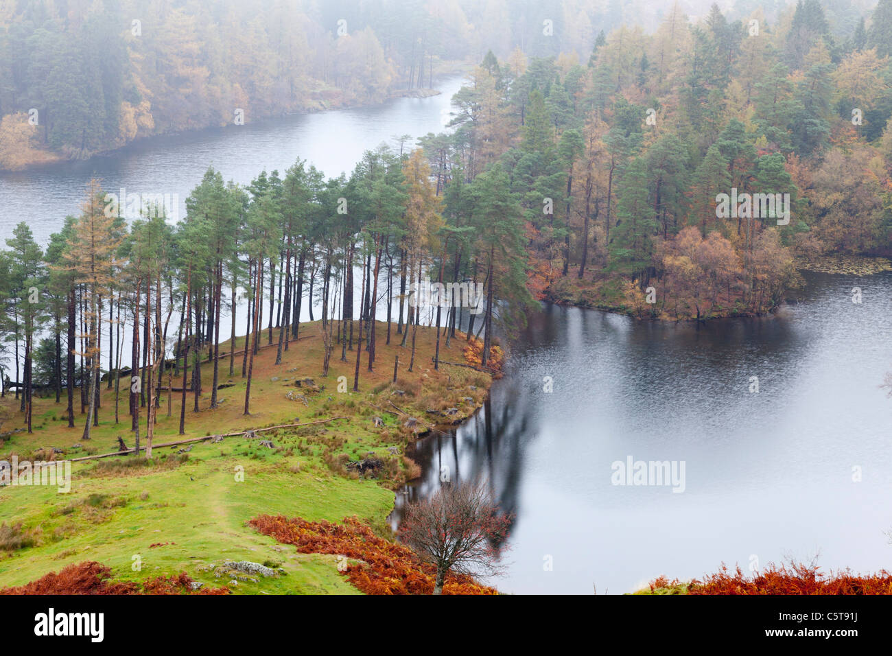 Tarn Hows in the autumn with mist Lake District Cumbria England Stock Photo