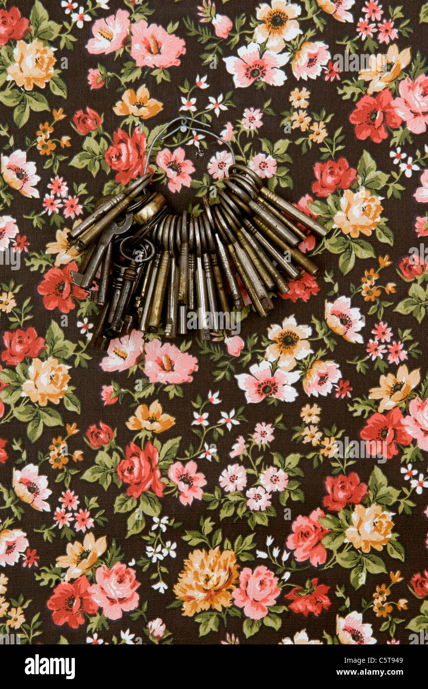 Keys on keyring hanging on wall Stock Photo Alamy