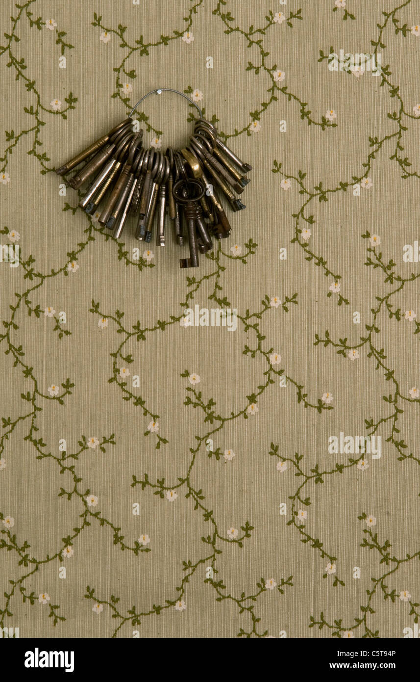 Keys on keyring hanging on wall Stock Photo Alamy