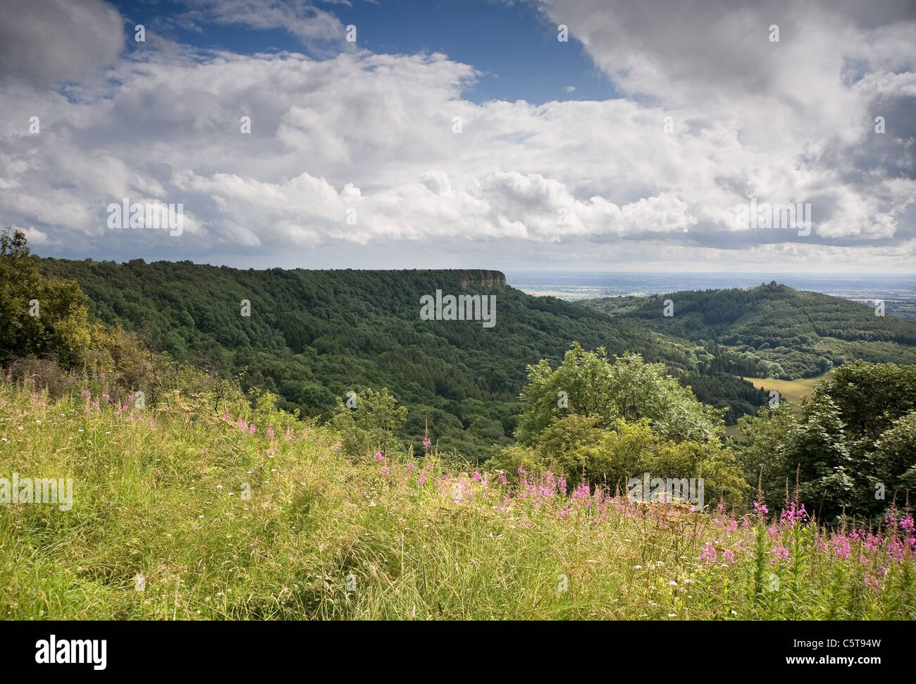 Roulston Scar and Hood Hill from Sutton Bank top Stock Photo Alamy