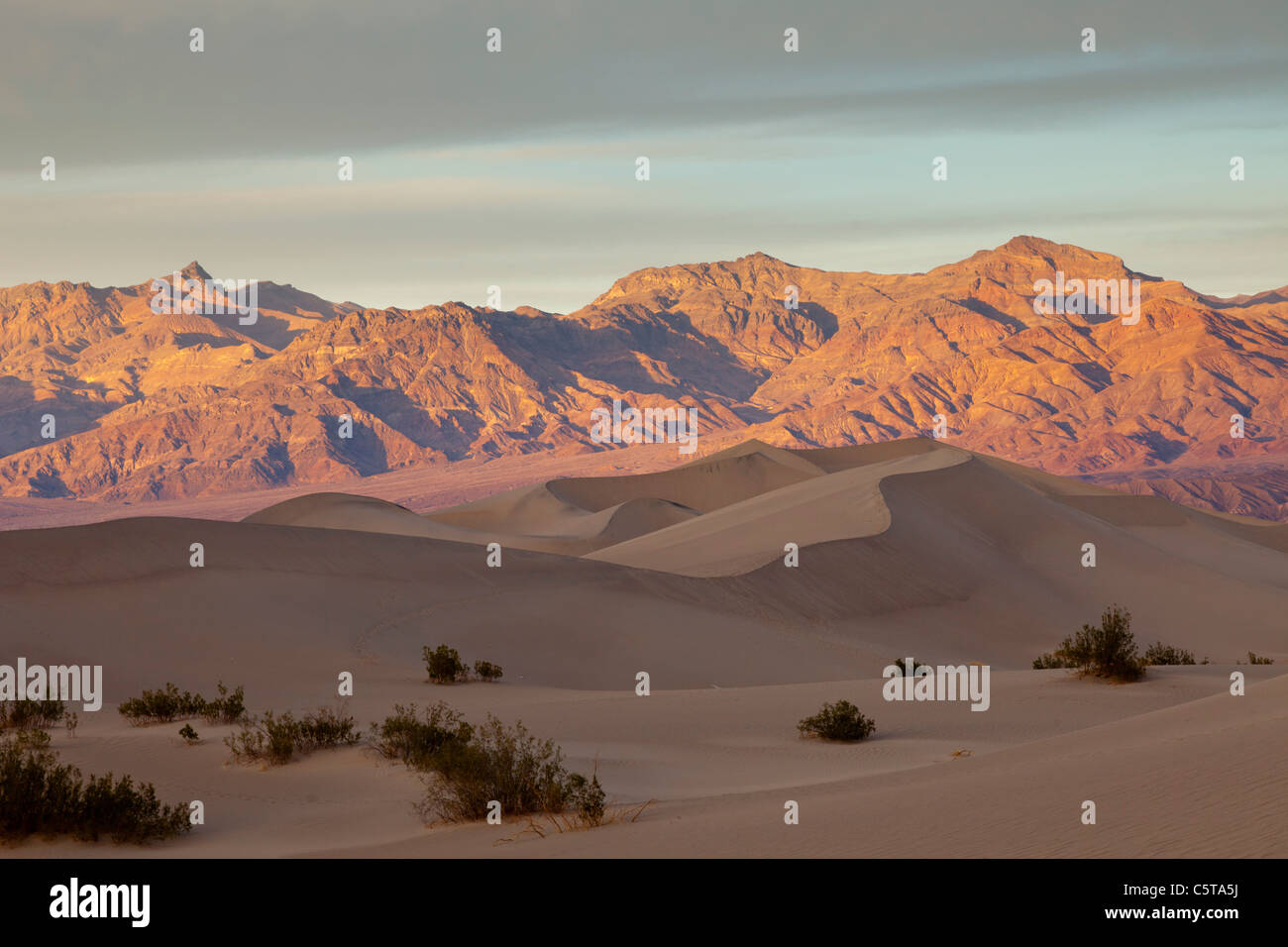 Death valley dunes hi-res stock photography and images - Alamy