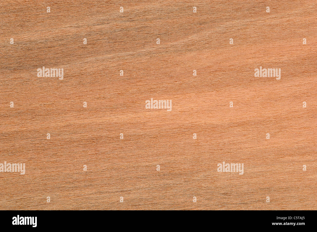 Wood surface, Abura Wood (Mitragyna stipulosa, Rubiaceae) full frame Stock Photo