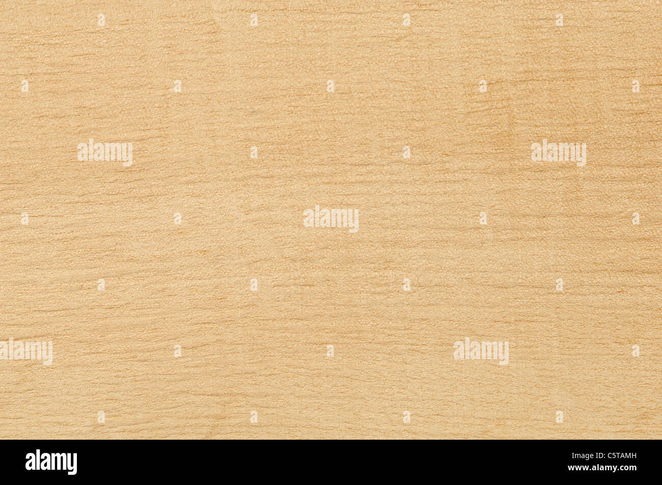 Wood surface, Amarillo Wood (Aspidosperma vargasi, Apocybaceae) full frame Stock Photo
