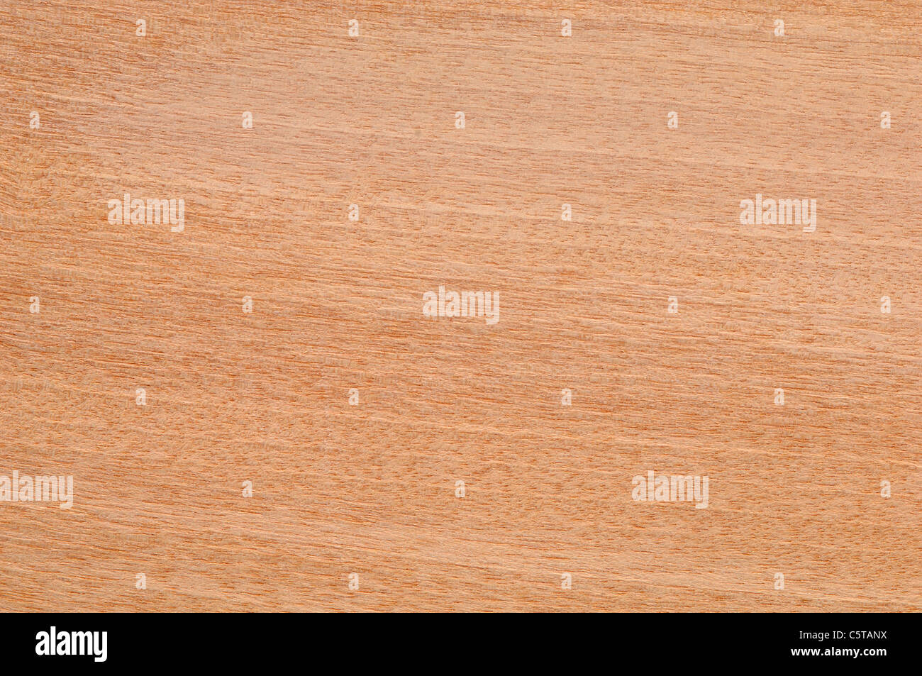 Wood surface, Aningeria Wood (Aningeria robusta) full frame Stock Photo