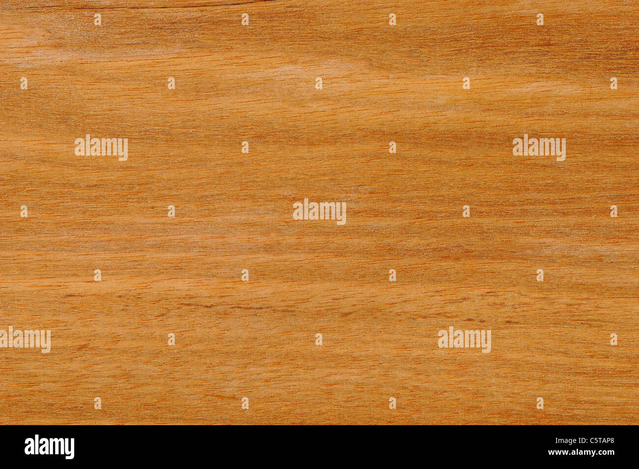 Wood surface, Arariba Wood (Leguminosae Papilonatae) full frame Stock Photo