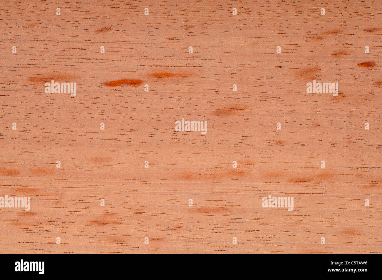 Wood surface,  Spanish Cedar Wood (Cedrela odorata) full frame Stock Photo