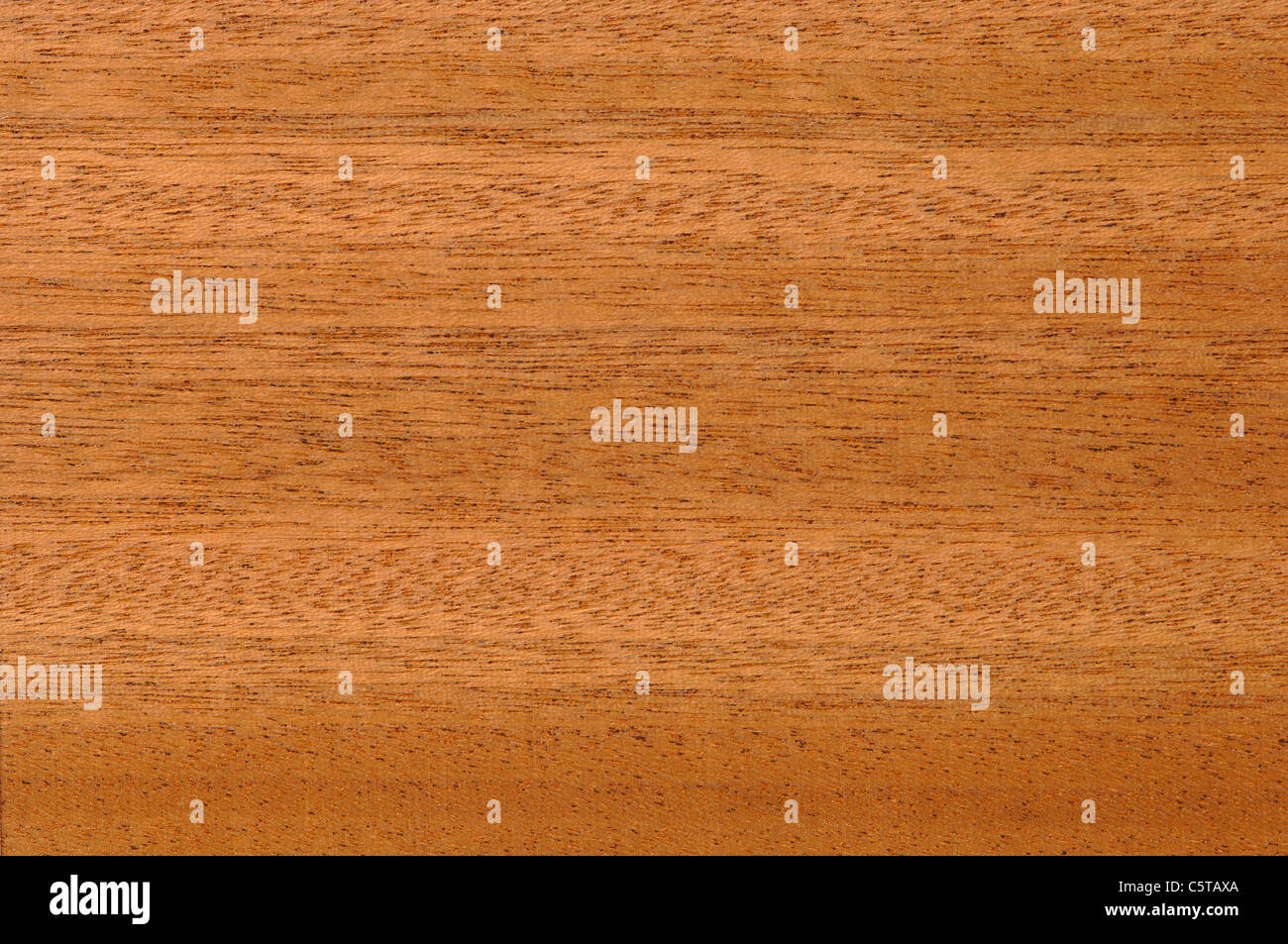 Wood surface, African Walnut (Lovoa trichilioides) full frame Stock Photo