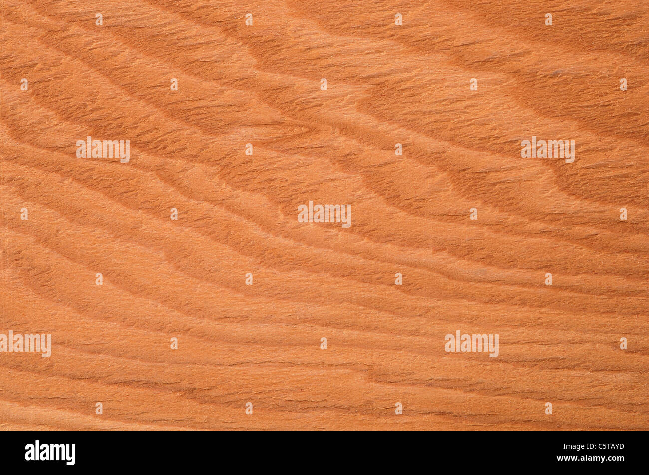 Yew wood hires stock photography and images Alamy