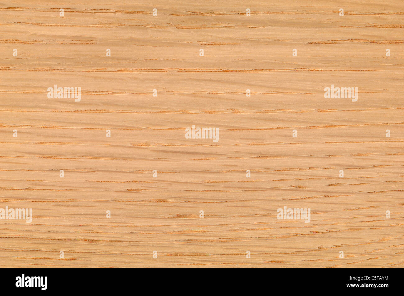 Wood surface, Oak Wood (Quercus robur) full frame Stock Photo