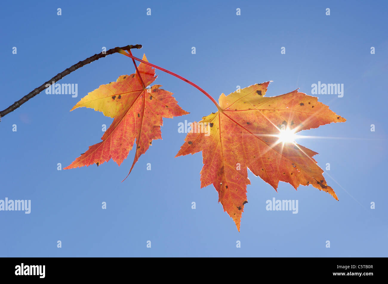 Usa new england hi-res stock photography and images - Alamy