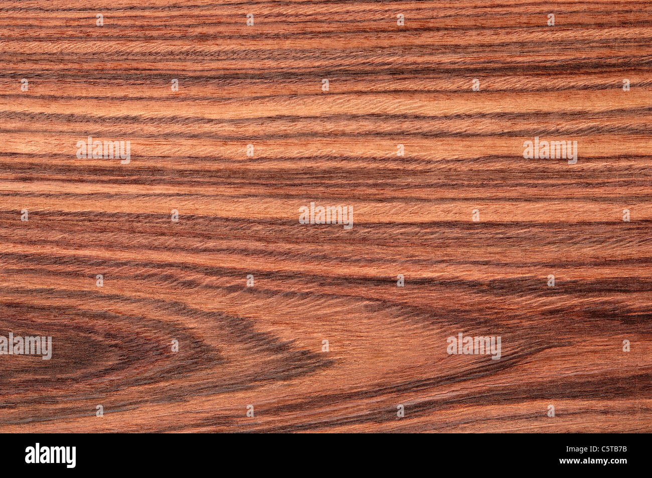 Wood surface, Kingwood (Dalbergia cearensis) full frame Stock Photo