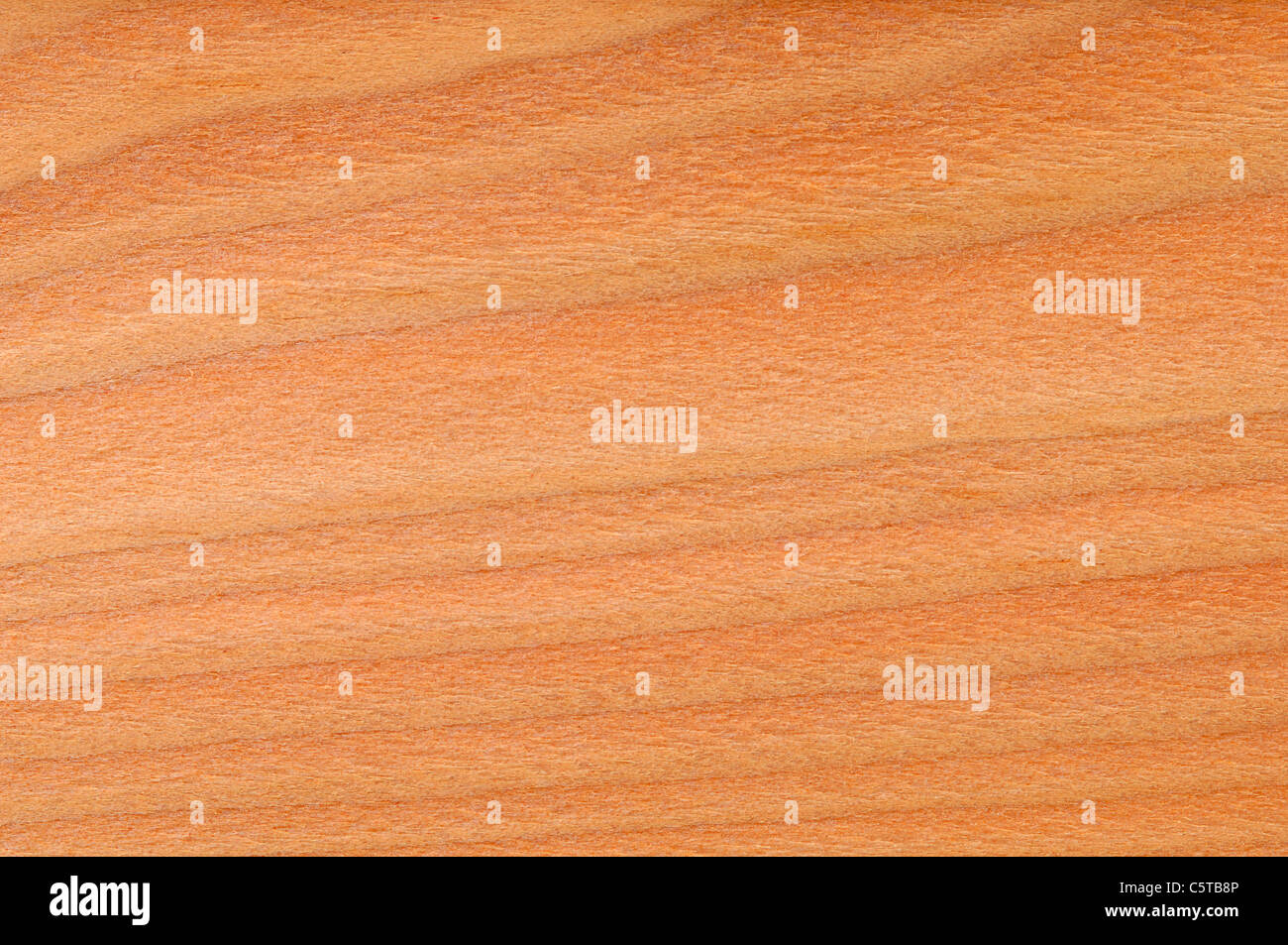 Wood surface, Larch Wood (Larix decidua) full frame Stock Photo