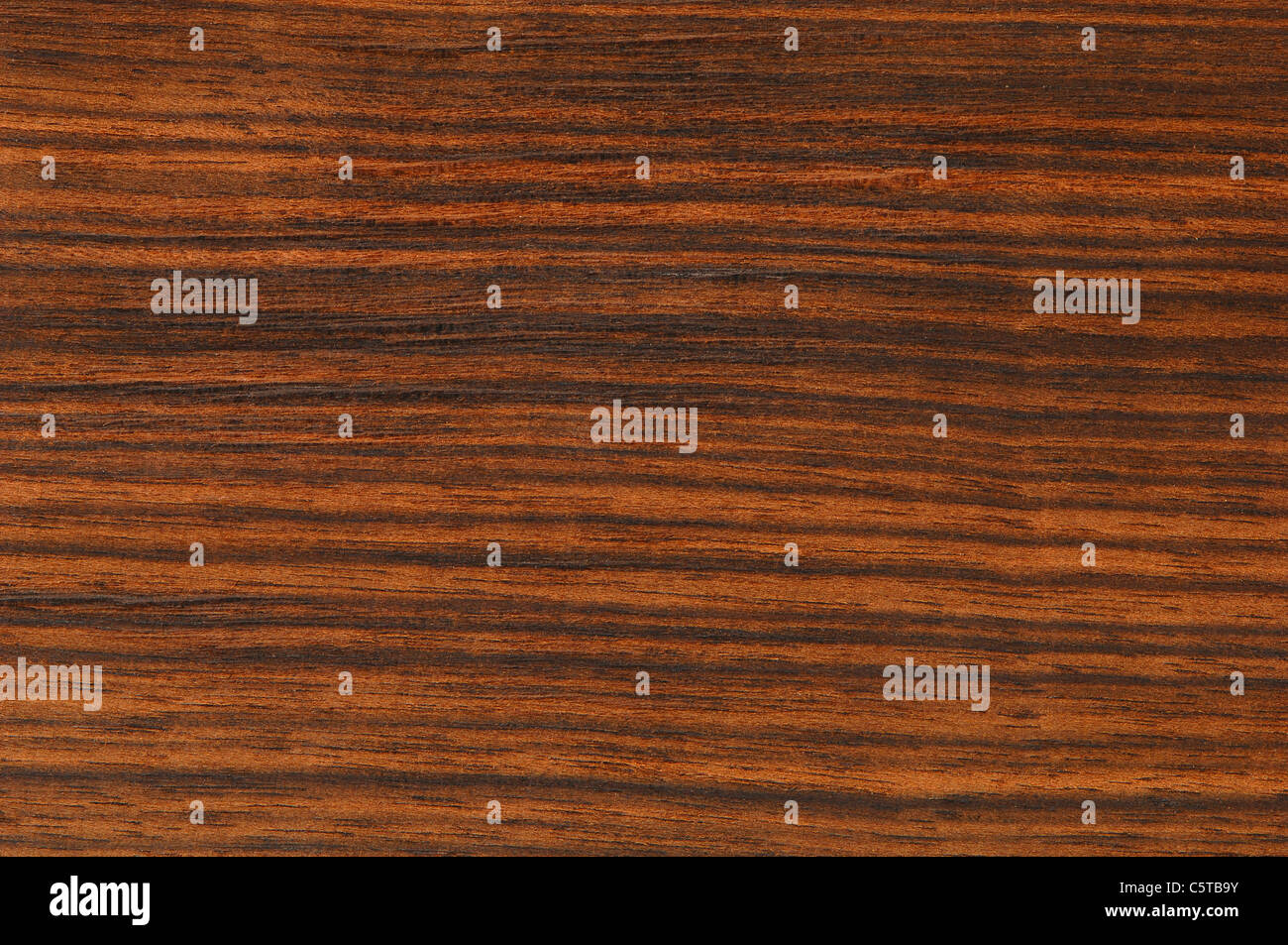 Wood surface, Macassar Ebony Wood (Diospyros celebica Bakh.) full frame Stock Photo