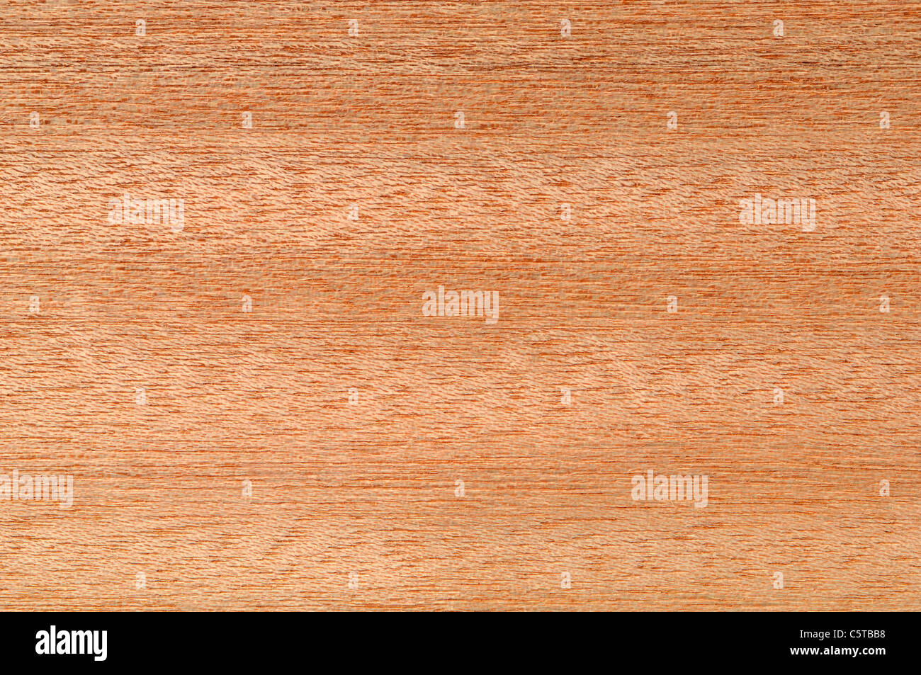 Wood surface, Light red meranti (Shorea palembrica Miq.) full frame Stock Photo