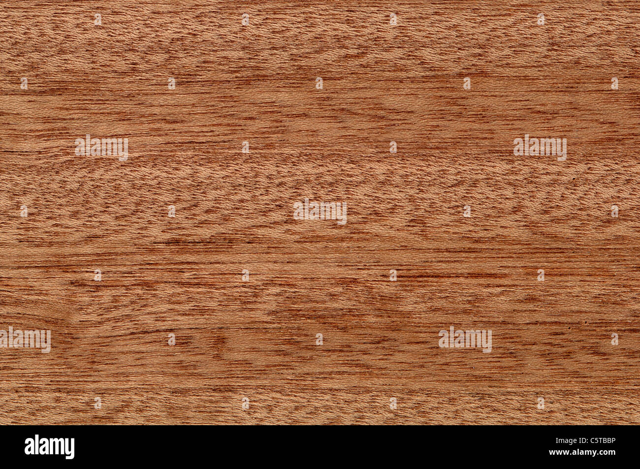 Wood surface, Dark red meranti (Shorea curtisii) full frame Stock Photo