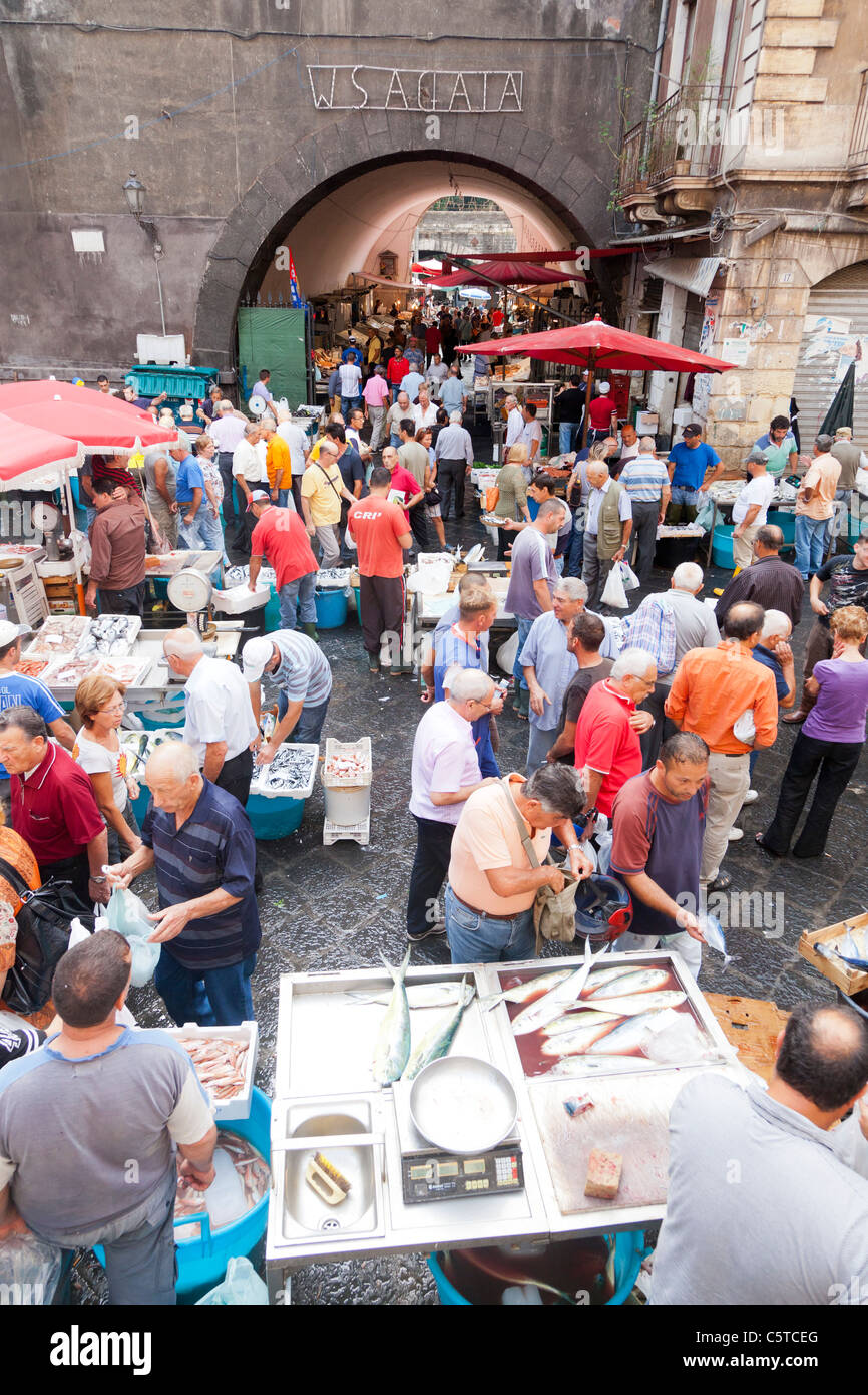 Fish market in Catania Sicily Italy Stock Photo Alamy