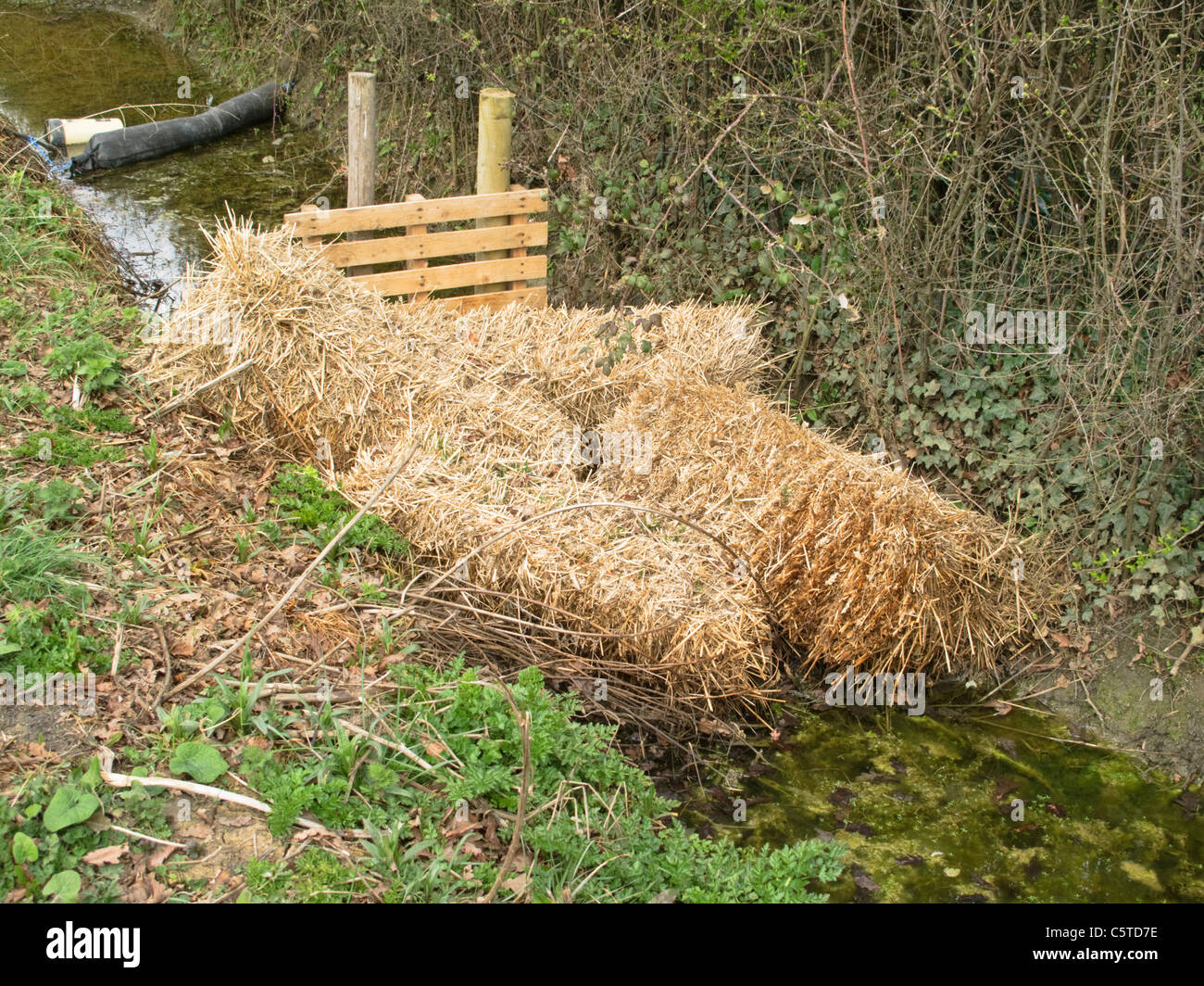 Floating containment barrier and bales of straw being used to clean up diesel spillage in water course. Stock Photo