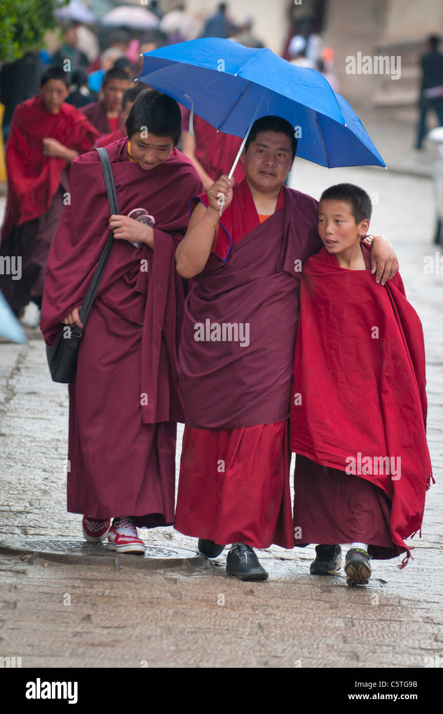 Monk children china hires stock photography and images Alamy