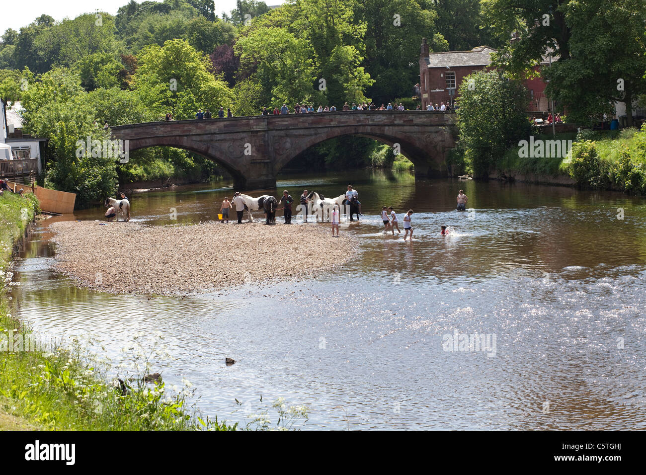 Gypsies washing horses in the River Eden at Appleby Horse Fair, Appleby in Westmoreland. Stock Photo