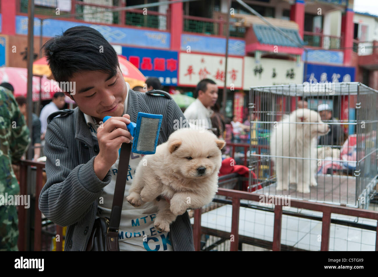 street-pet-market-near-me-galiff-street-pet-market-kolkata-tale-of-2