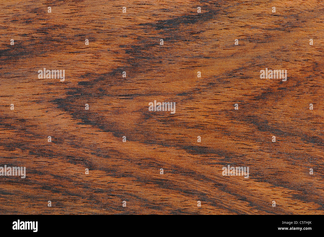 Wood surface, Indian rosewood (Dalbergia latifolia) full frame Stock Photo