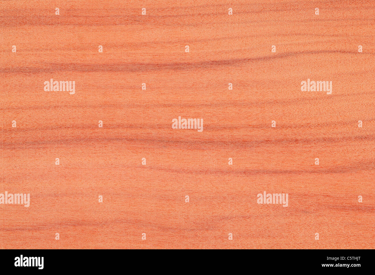 Wood surface,  Red peroba (Aspidosperma peroba) full frame Stock Photo