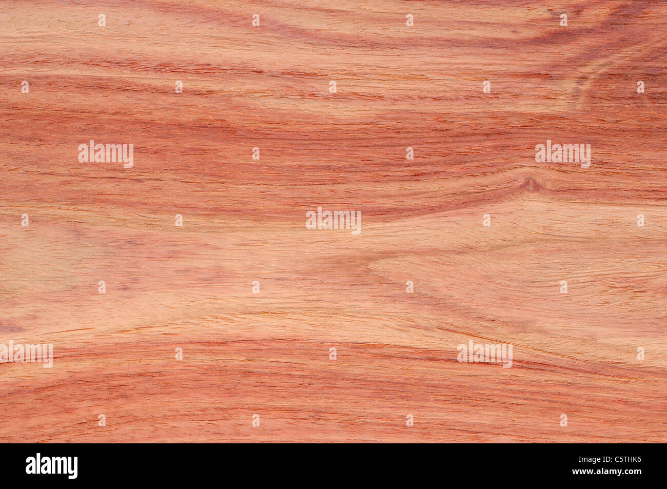 Wood surface, Tulipwood (Dalbergia variabilis) full frame Stock Photo