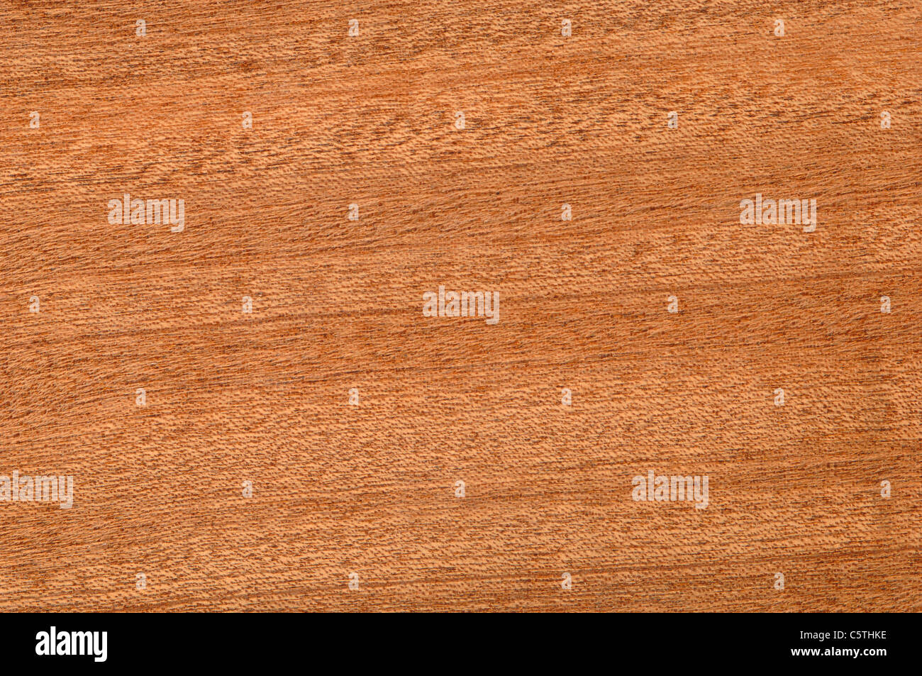 Wood surface, Sapele wood (Entandrophragma cylindricum) full frame Stock Photo