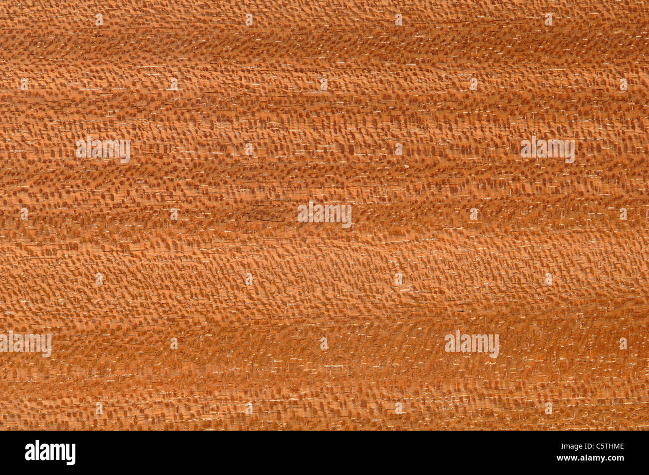 Wood surface, Gedu Nohor wood ( Entandrophragma angolense) full frame Stock Photo