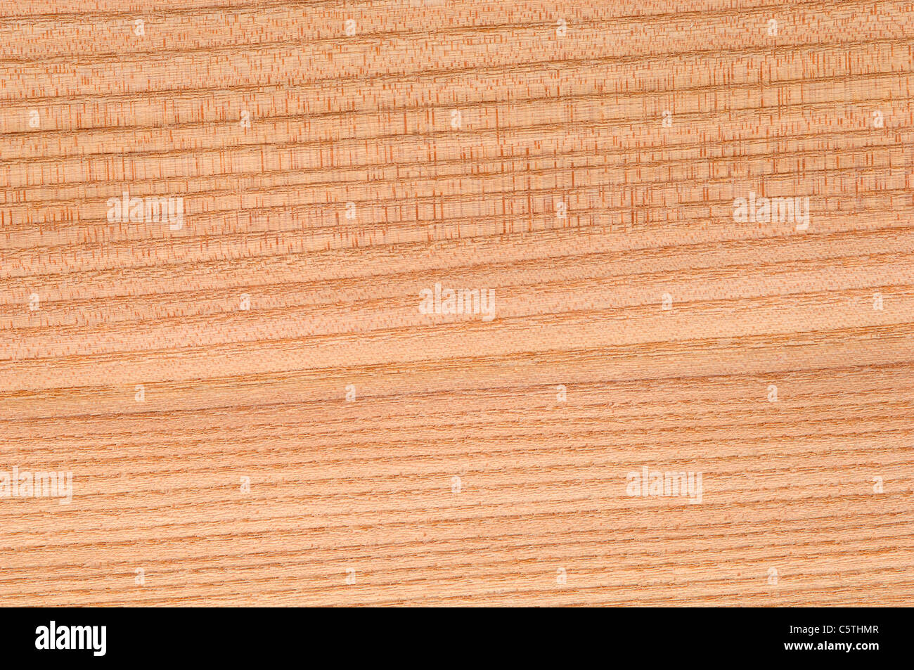 Wood surface, Elm wood (Ulmus campestris) full frame Stock Photo