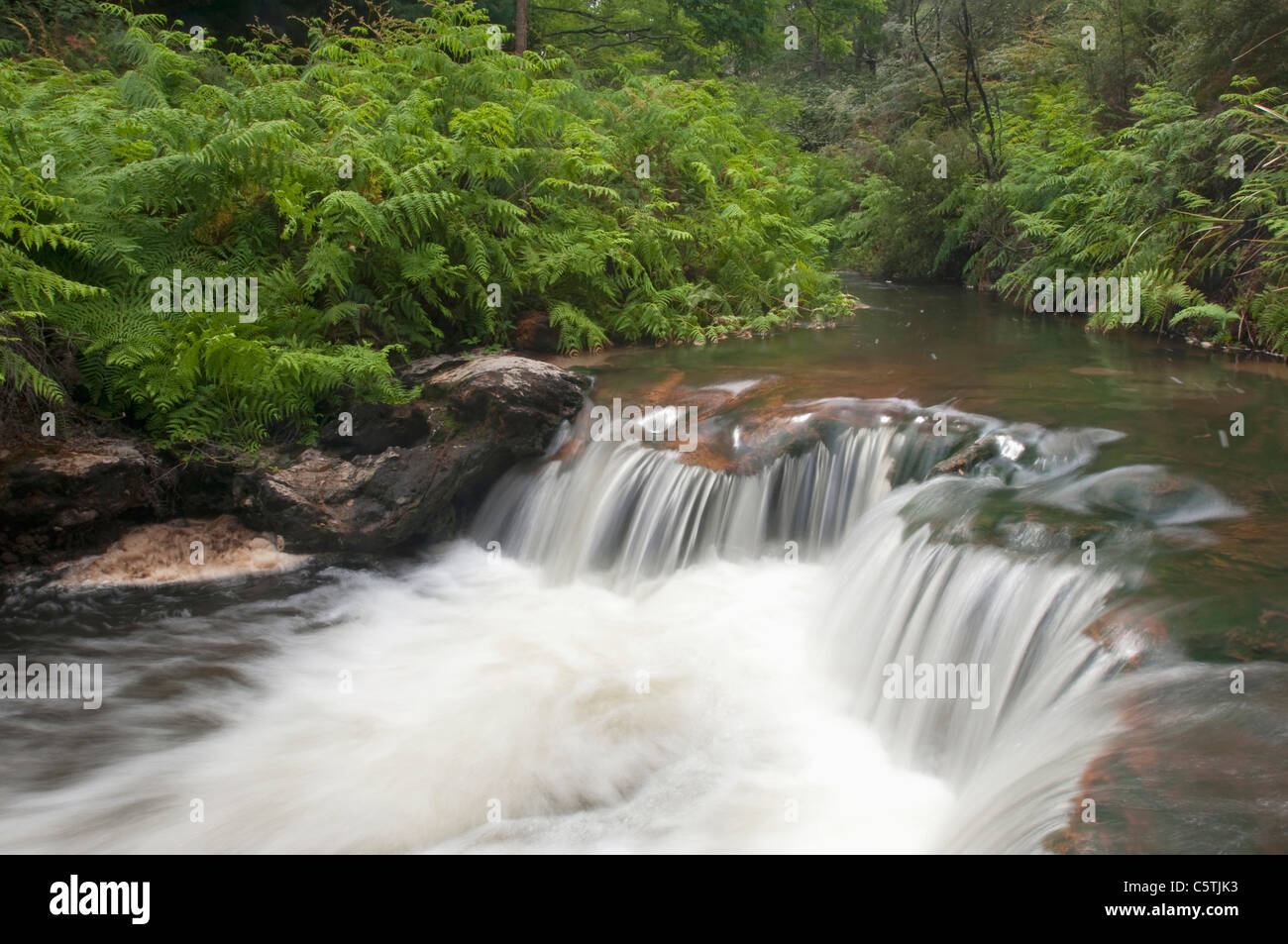 New Zealand, Rotorua, Kerosene Creek, waterfall Stock Photo Alamy